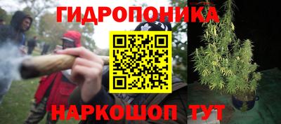 наркотики Ачхой-Мартан