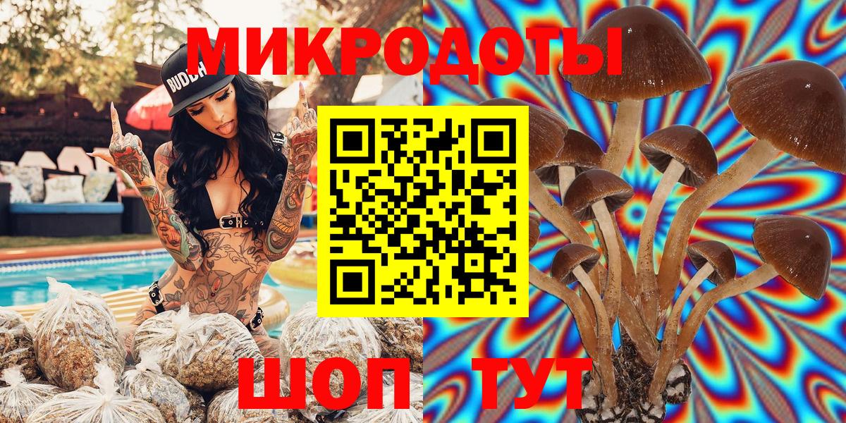 Галлюциногенные грибы Psilocybe Аша