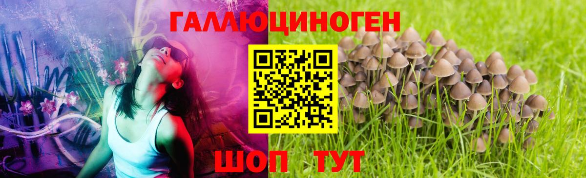 Аша  Галлюциногенные грибы ЛСД  Вход с VPN 