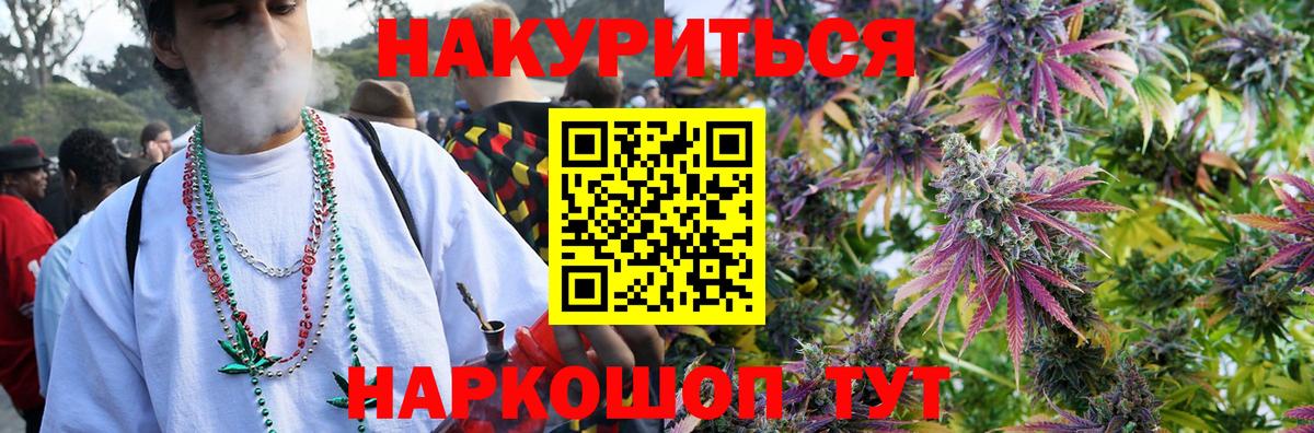Конопля планчик  Бошки марихуана план  Аша  Канабис план  Канабис AK-47  Вход с VPN 